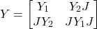 \[Y = \begin{bmatrix}Y_1 & Y_2 J \\J Y_2 & J Y_1 J\end{bmatrix}\]